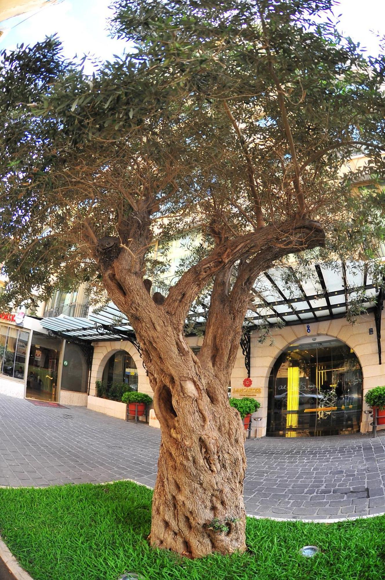 Lancaster Raouche Hotel Beirut Eksteriør bilde